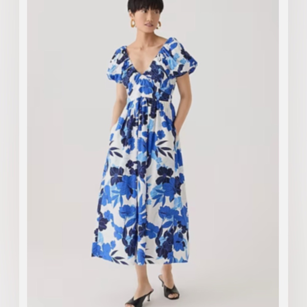 J crew Cecily dress in painted floral print Blue Size 10 NWT